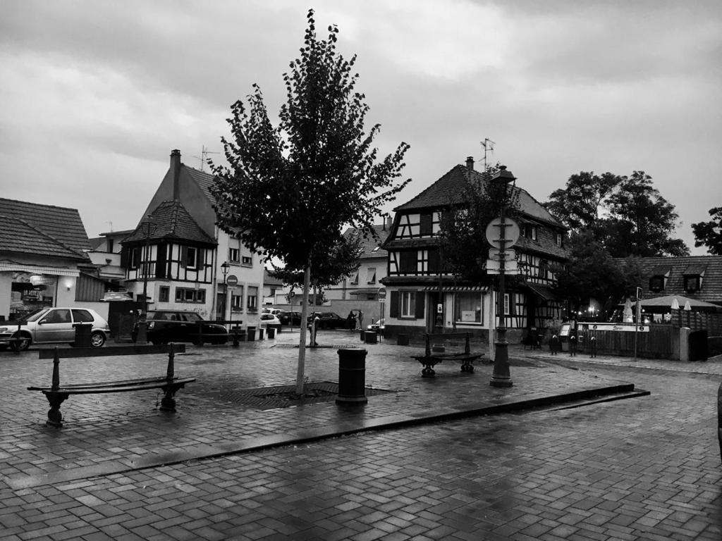 La Casetta en ALSACE Schiltigheim Esterno foto
